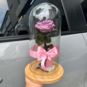 Rosa Preservada Mora en leche
