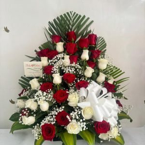 Abanico de Rosas Rojas y Blancas – Elegancia y Paz