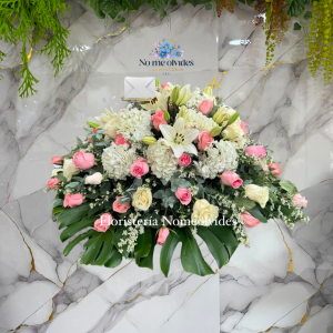 Cubre Caja Funebre en Cali 🕊️