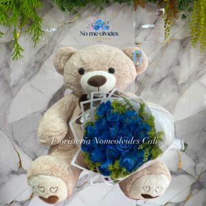 Combo Ternura peluche y Rosas Azules