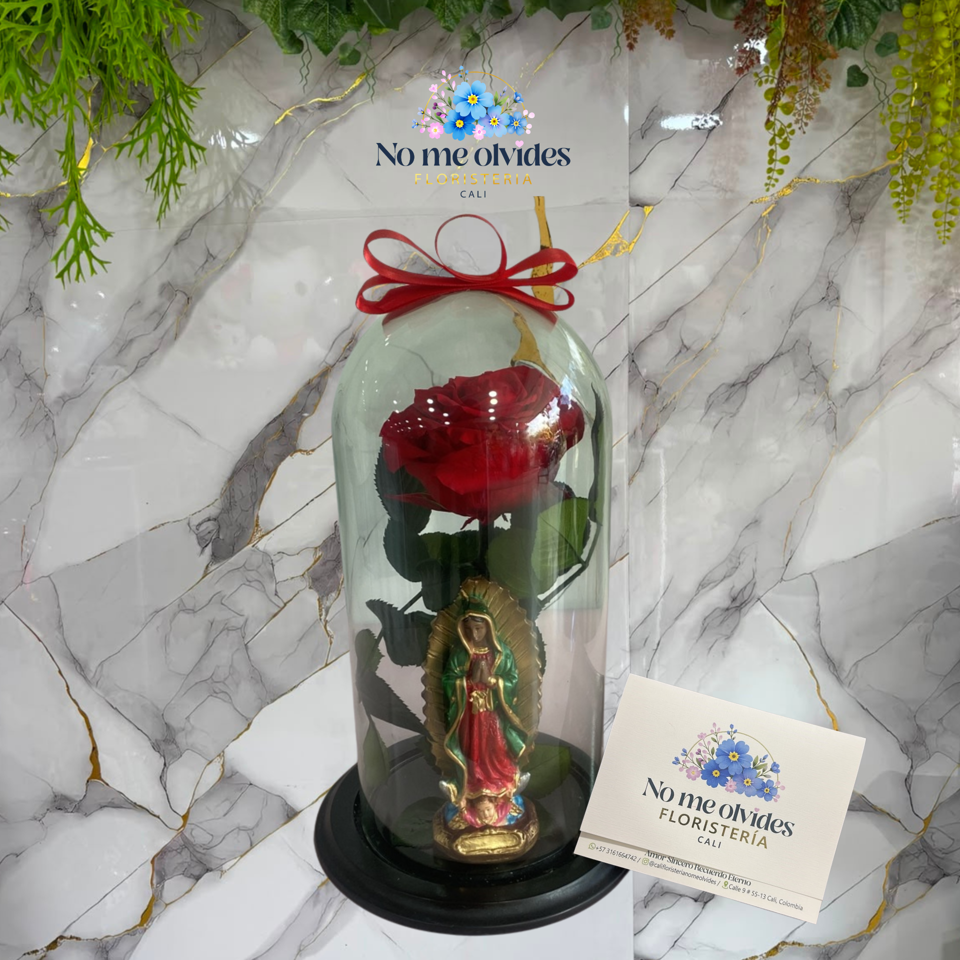 Rosa Preservada con Virgen