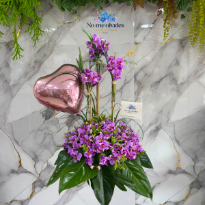 Arreglo de Orquídeas Hawaianas Cali