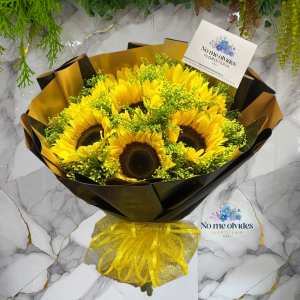 Buchon Especial en Girasoles