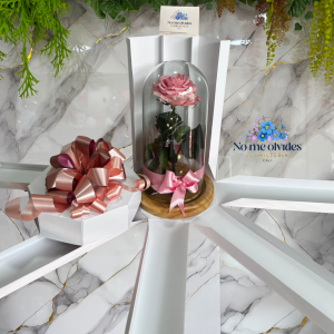 Rosa Preservada Rosada con Caja Decorada